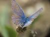 237927 – Photo : Florian ALONSO – France (69)